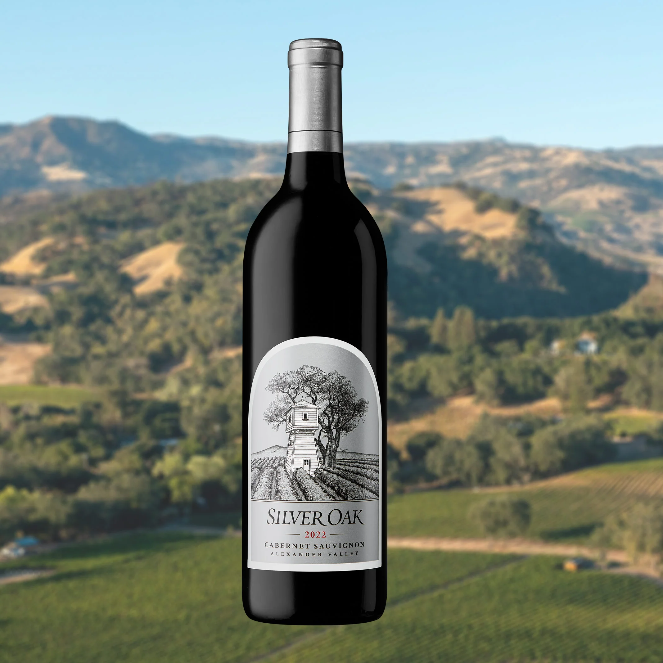 2022 Alexander Valley Cabernet Sauvignon